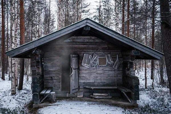 Immerse Yourself: Helsinki's Authentic Finnish Sauna & Food Journey