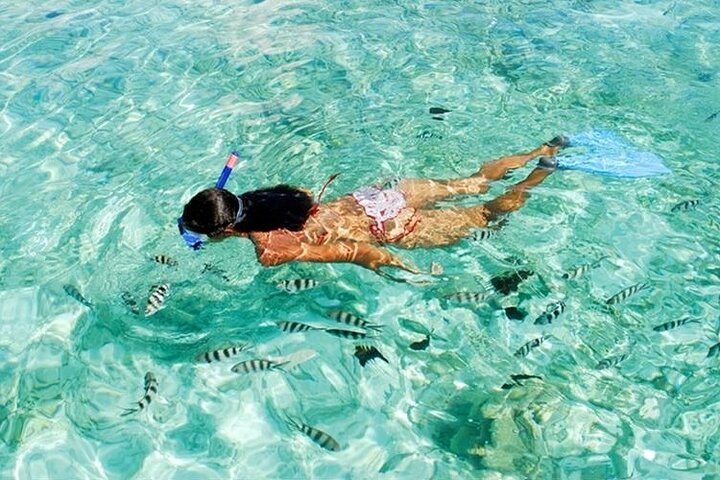 Discover Paradise: Coral Island Speedboat Adventure from Phuket