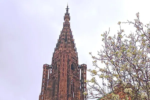 Strasbourg Cathedral Tour: Uncover Secrets & History