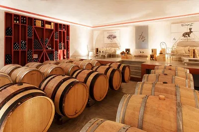 Tuscany Wine Tour: Sip & Savor from Civitavecchia Port!