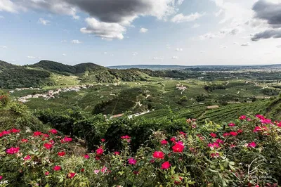 Indulge in Prosecco Perfection: A Sommelier-Guided Vineyard Escape