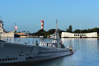 Uncover Pearl Harbor's Secrets: A Private WWII History Tour