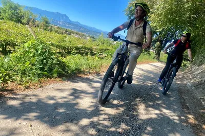 E-Bike & Wine Adventure: Explore Pastrengo's Forts & Vineyards