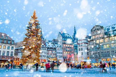Brussels to Strasbourg: Private Transfer with Waterloo Stop