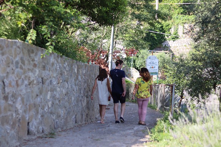 Experience Image img2