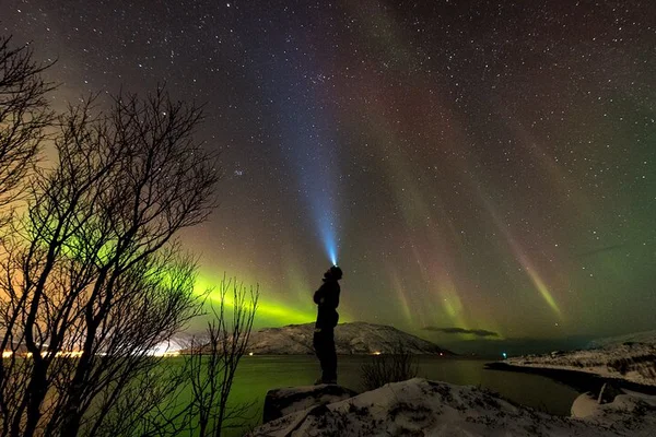Tromsø Aurora Hunt: Chase the Northern Lights with a Local Expert!