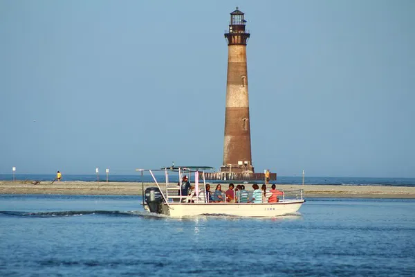 Folly Beach Eco-Adventure: Dolphin Spotting & Morris Island Escape!