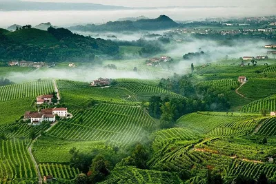 Franciacorta Wine Tour from Milan: Private Day Trip
