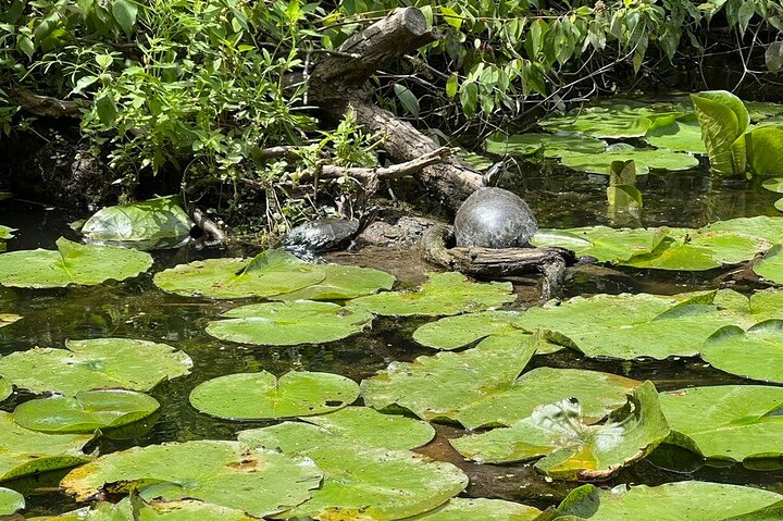 Experience Image img3