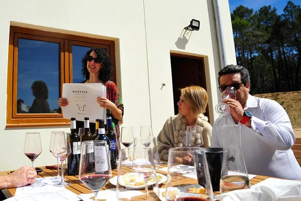 Madrid: Ribera del Duero Wine Tour & 9+ Wine Tasting