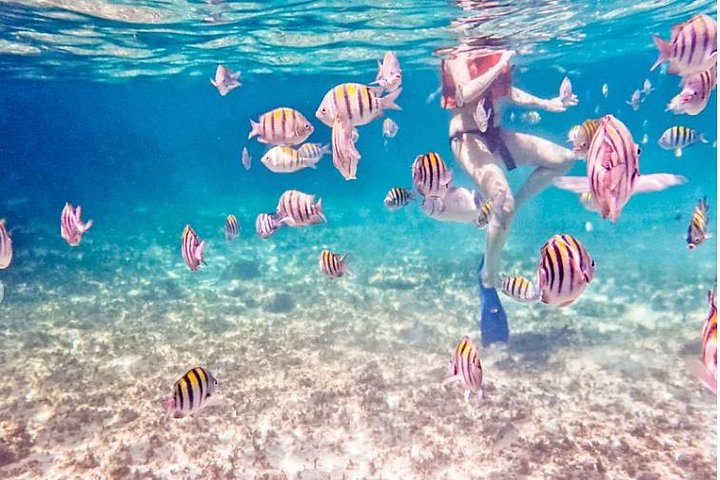 Experience Image img4