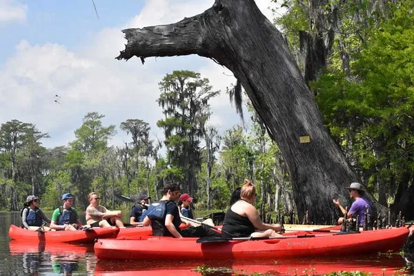 Manchac Swamp Kayak Tour: Extended Adventure + Pickup