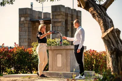Savor Slovenian Istria: Wine & Olive Oil Tasting Adventure