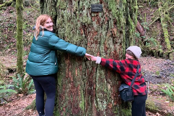 Escape to Nature: Forest Park Urban Hiking Tour in Portland