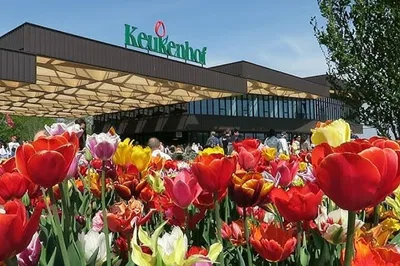 Keukenhof Gardens: Luxury Private Tour from Amsterdam