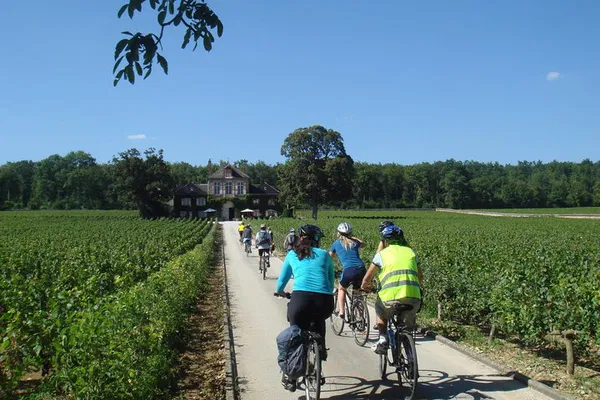 Burgundy Bike & Wine Tour from Beaune: Taste the Terroir
