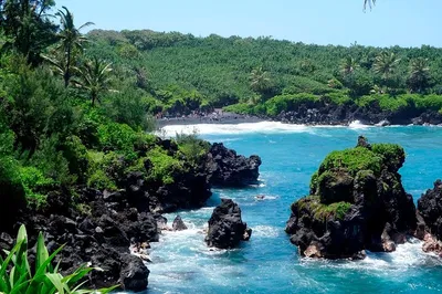 Maui's Road to Hana: Rainforests, Black Sands & Waterfalls Adventure!