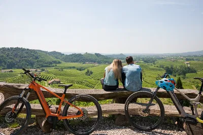 E-Bike Adventure: Conquer Valdobbiadene's Prosecco Hills!