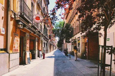 Uncover Madrid's Secrets: A 90-Minute Local's Walking Tour