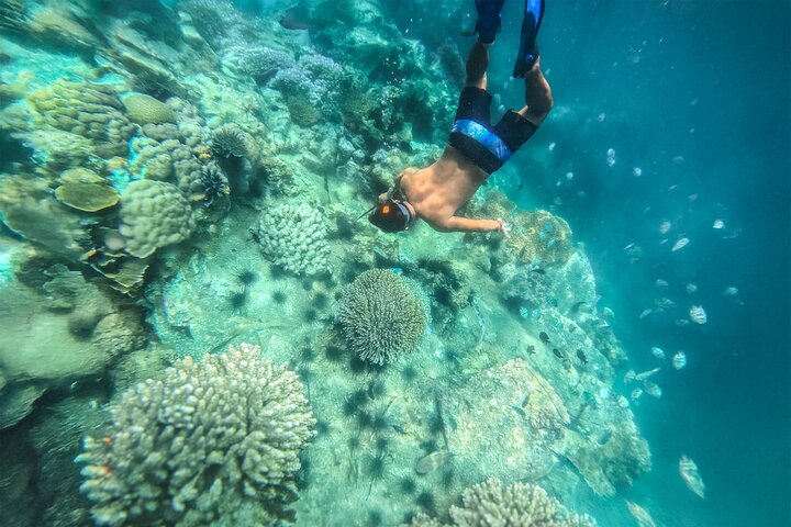 Experience Image img2