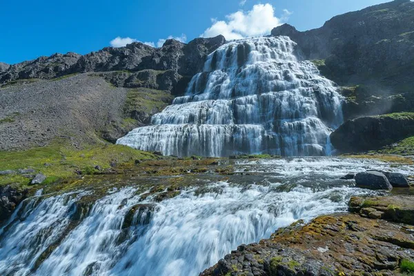 Unveiling Iceland's Wild Side: 3-Day Westfjords Adventure from Reykjavík