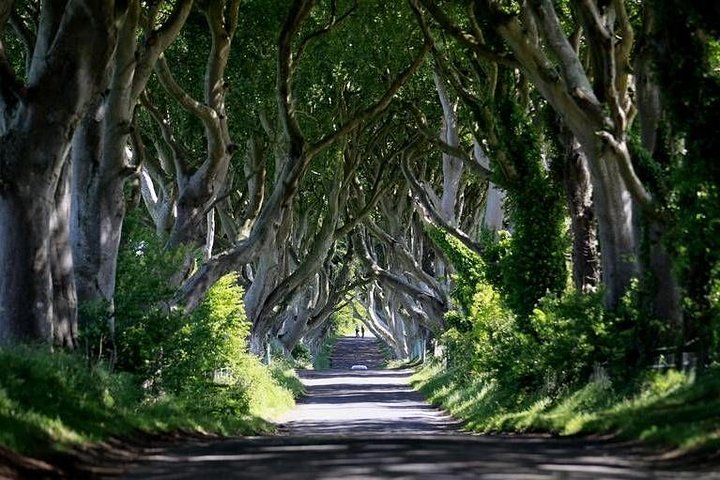 Uncover Westeros & Giants Causeway: A Game of Thrones Adventure