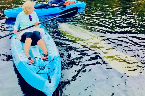 Glide Through St. Augustine's Waters: A Dolphin, Manatee & Turtle Kayak Adventure!