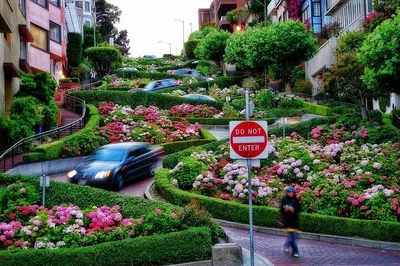 Unforgettable SF & Silicon Valley Tour: Golden Gate to Stanford Shopping