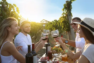 Chianti Wine Tour: Tuscan Dinner in Vineyard