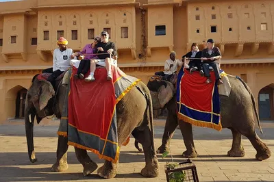 Unveiling India's Splendor: A Golden Triangle Odyssey