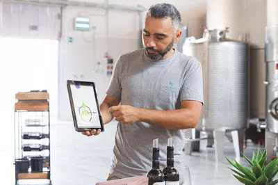 Uncork Your Inner Winemaker: A Sicilian Winery Experience