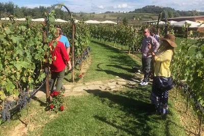 Escape to Tuscany: A Luxurious Day Trip from Rome