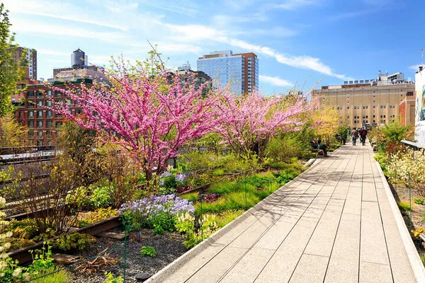 High Line & Chelsea Tour: Art, History & Hidden Gems