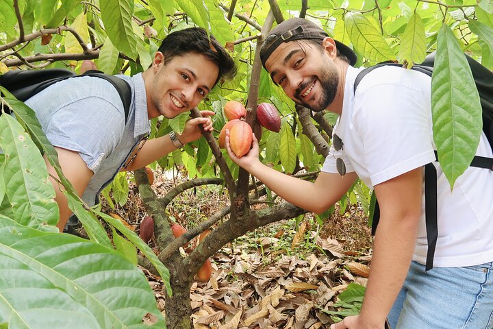 Experience Image img2