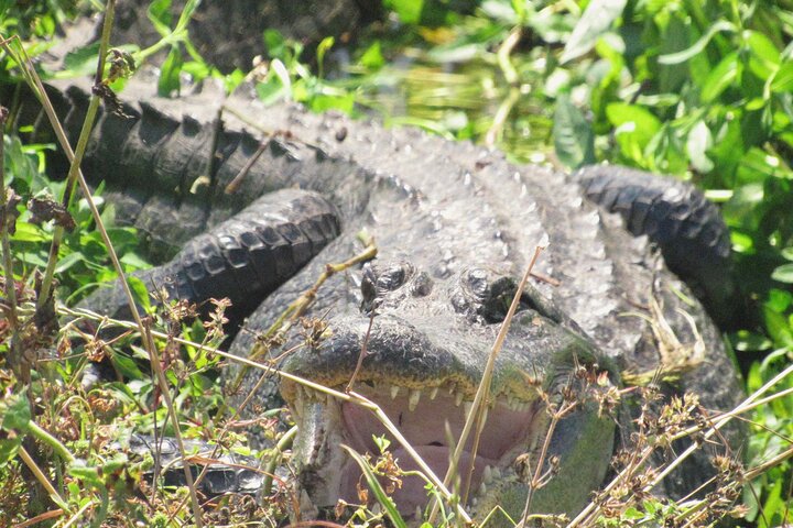 Experience Image img2