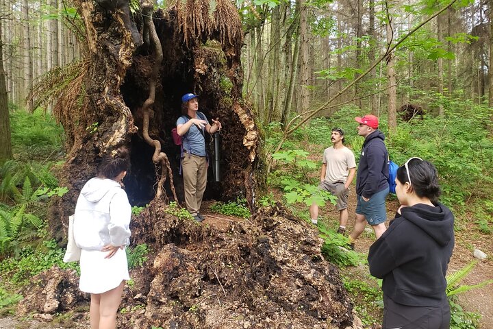 Experience Image img3