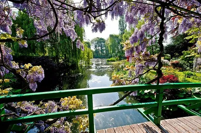 Giverny & Versailles: Private Day Trip from Paris