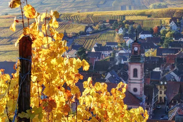 Alsace Wine Tour: Taste 2 Wineries near Colmar