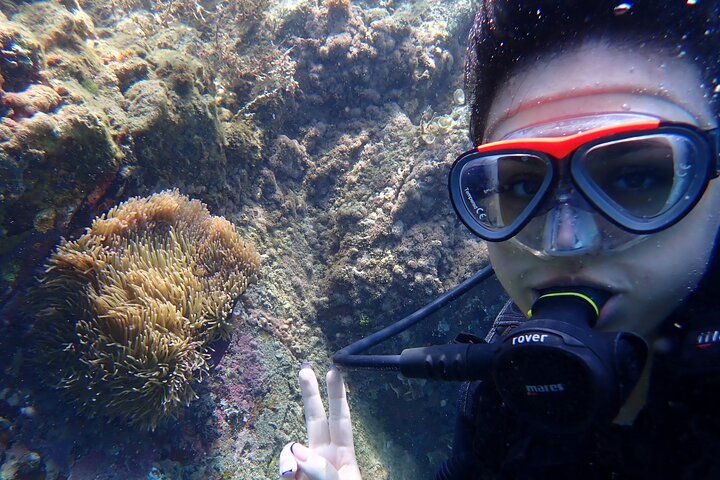 Experience Image img3