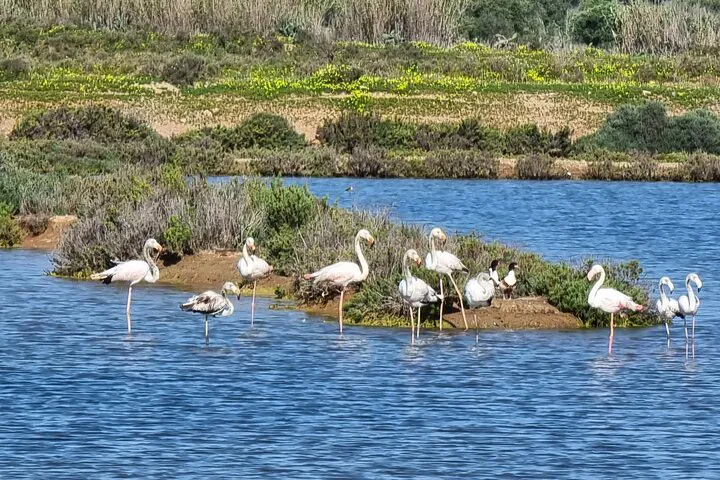 img0