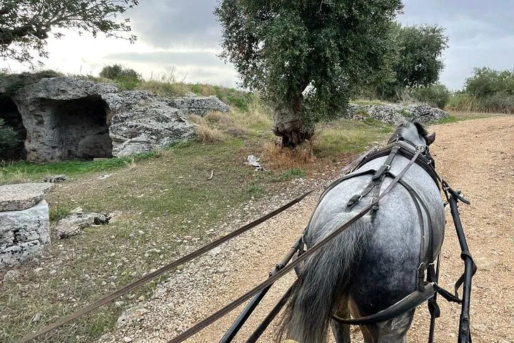 img0