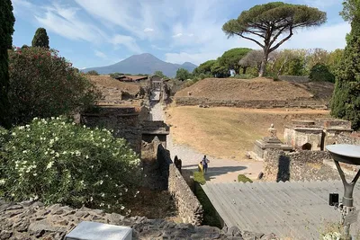 Unveiling History: Naples to Sorrento Transfer with Pompeii Pizza Stop