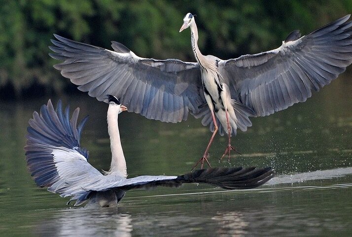 Experience Image img1