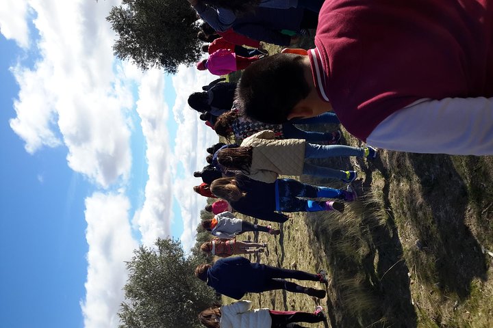 Experience Image img2