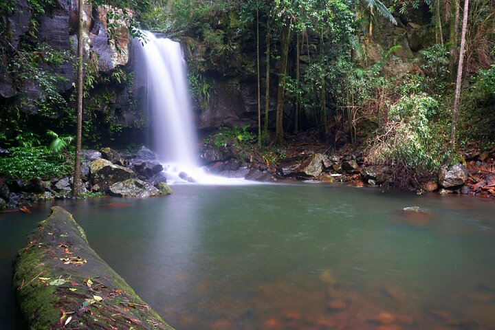 Enchanting Glow Worm Adventure: Rainforest Waterfall Wonders