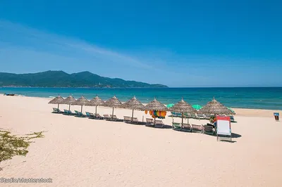 Immersive 2-Day Wildlife Living Adventure on Da Nang's Golden Sand Beach