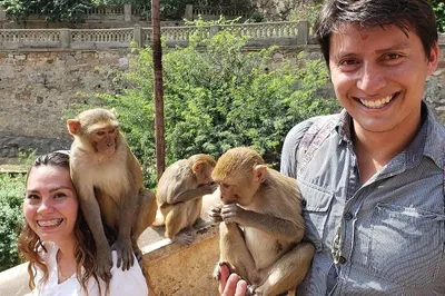 Discover India's Golden Triangle: A 10-Day Cultural & Spiritual Odyssey