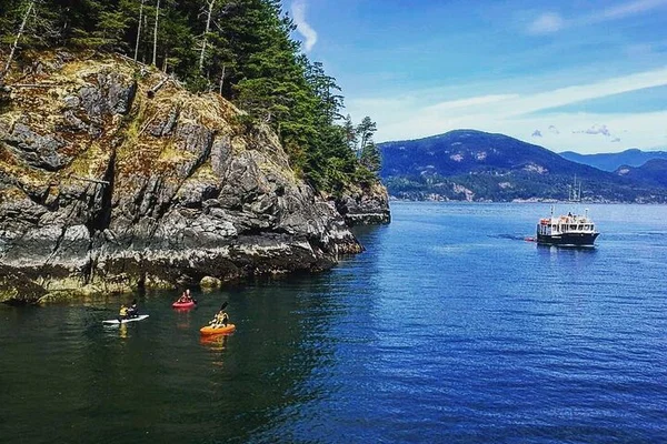 Vancouver's Howe Sound: Kayak & Seal Adventure Awaits!