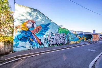 Unveiling Milan's Art Scene: A Local's Cultural Journey