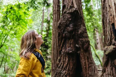Muir Woods & Sausalito: Bus/Ferry Adventure!
